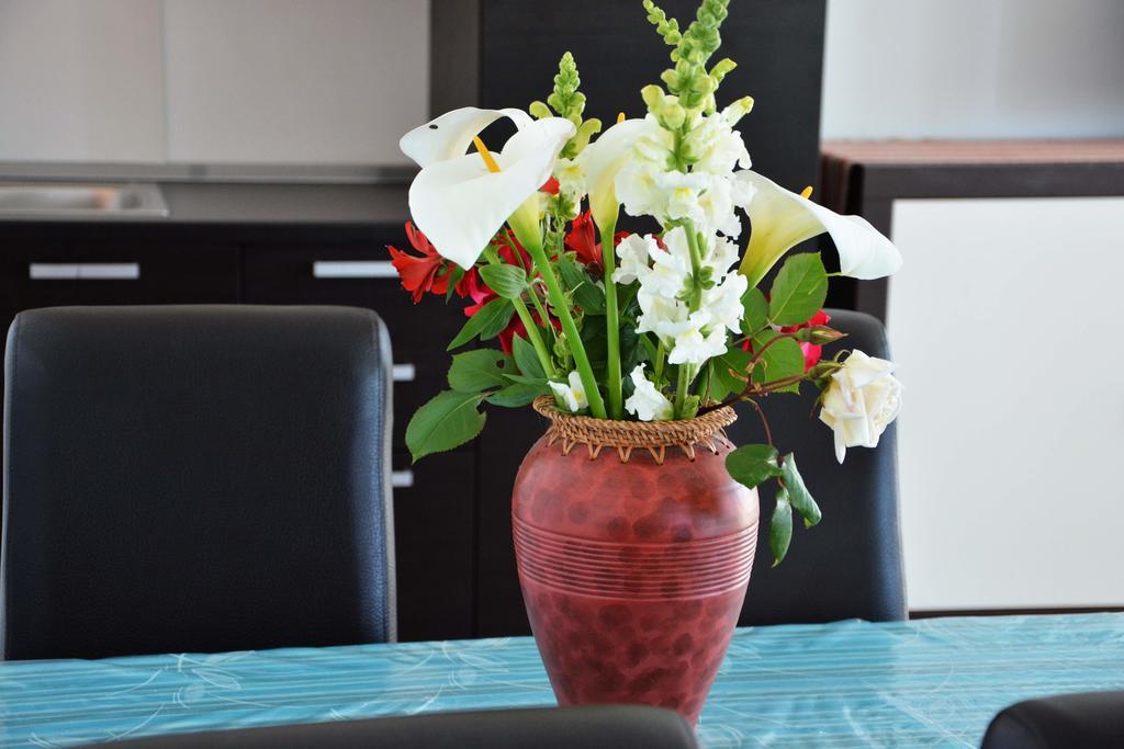 Apartments Buturi Soline  Εξωτερικό φωτογραφία